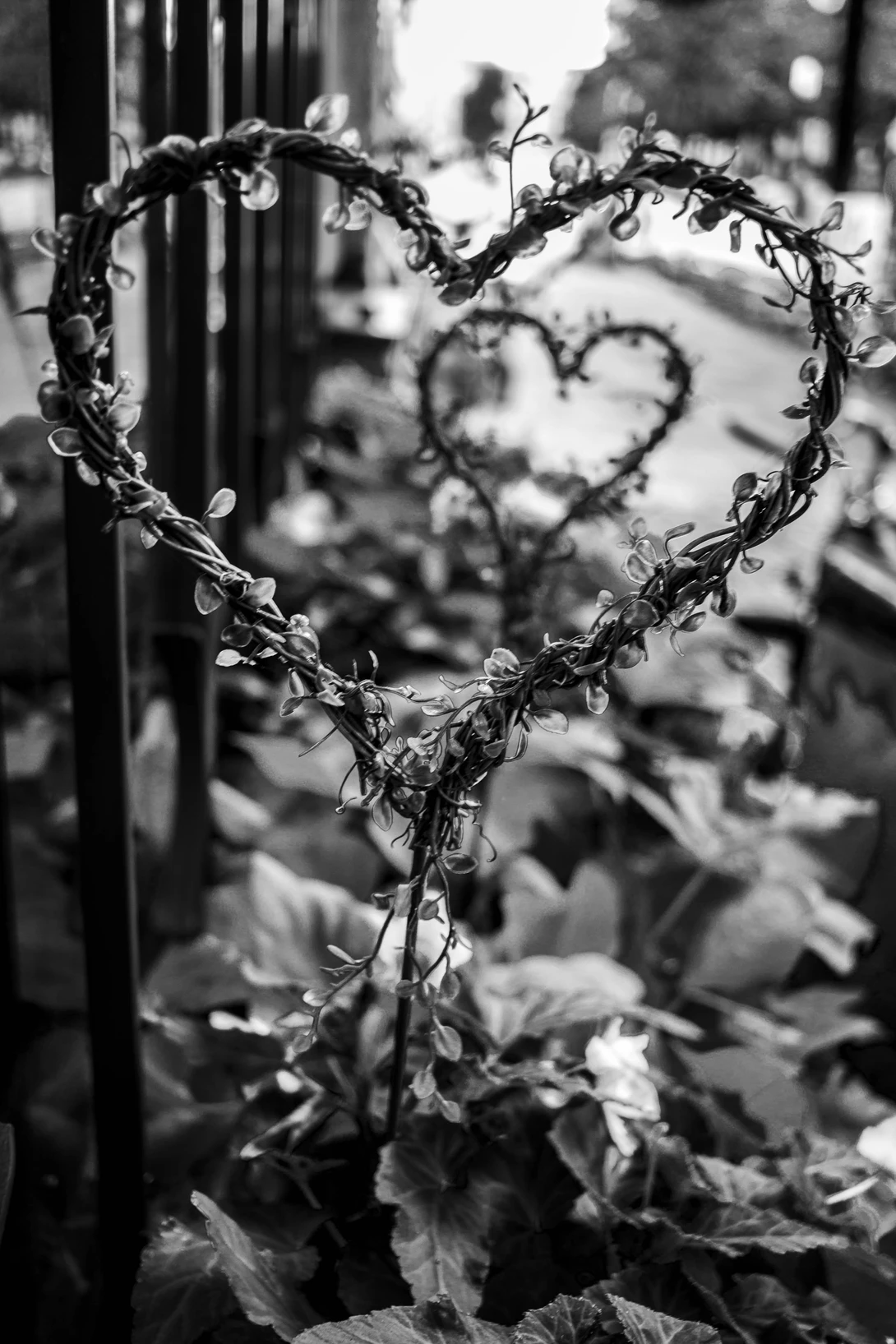 View Double heart by Cat P