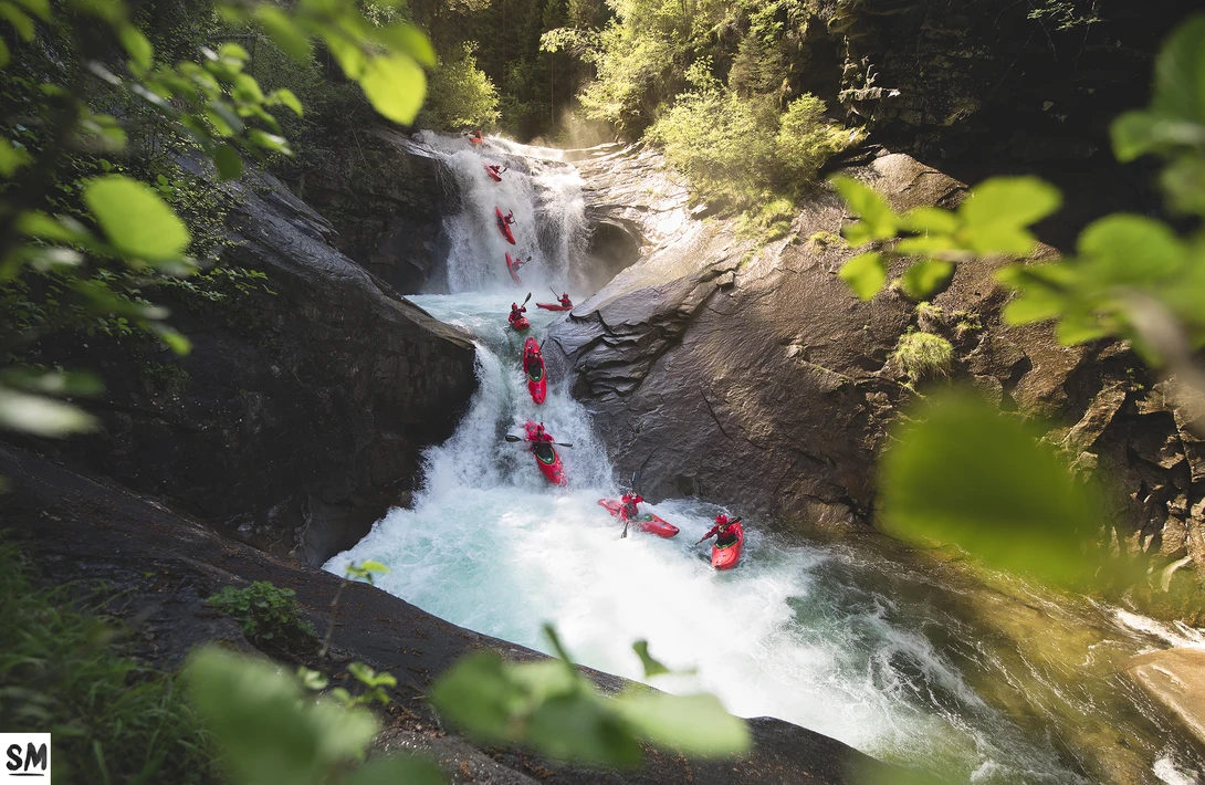 View Wild summer mornings by Stefan Mahlknecht
