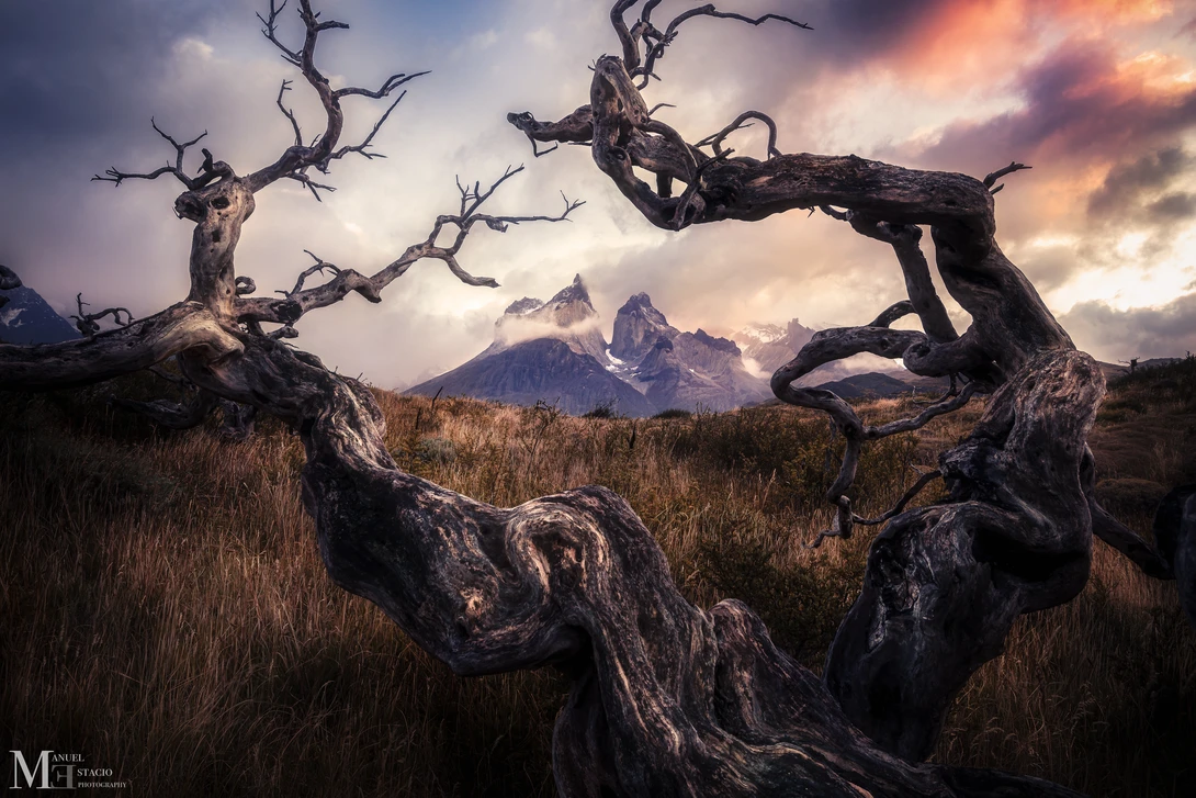 View Harmonious Complexity by Manuel Estacio