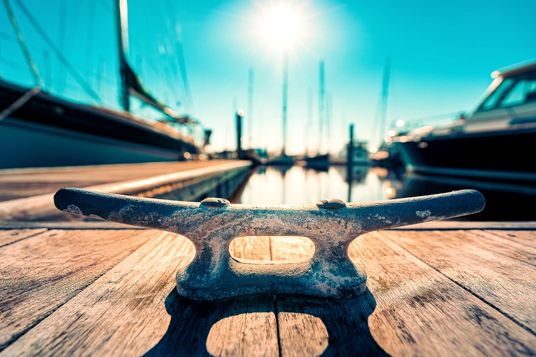 View 614b42297384698122aa7f09f8174ee9.jpg by Kyle Foreman