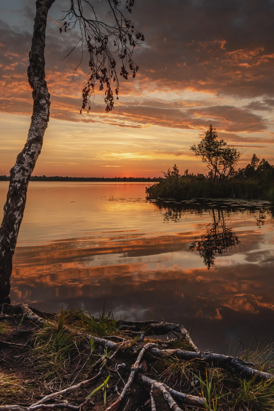 View Bog at sunset by Ragnar Adamson