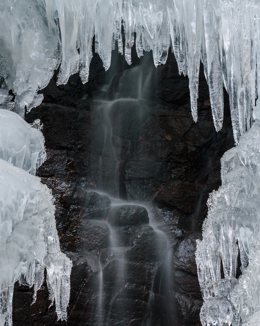 View Frozen by Jordan McChesney