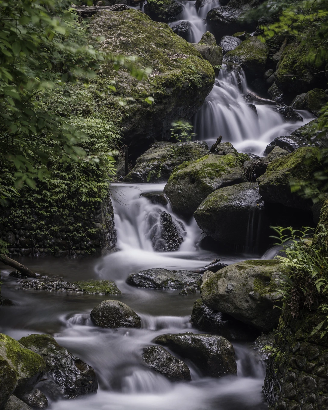 View Shasui Falls by Jordan McChesney