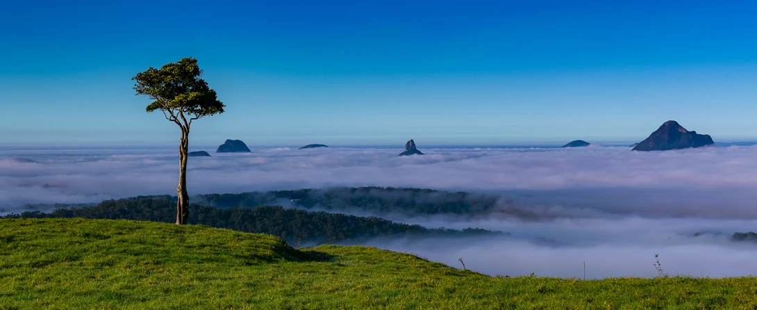 View The sentinel by Michael Bevege
