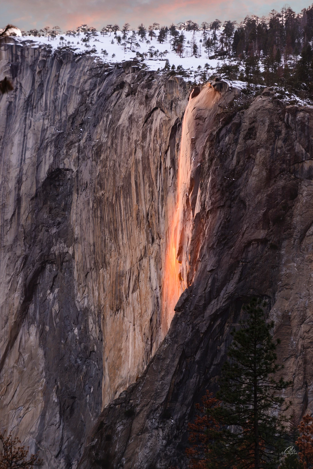 View Horsetail Falls by Carla Anderson