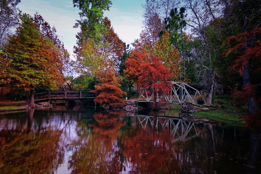 View An Autumn Seen by Bobby Wood