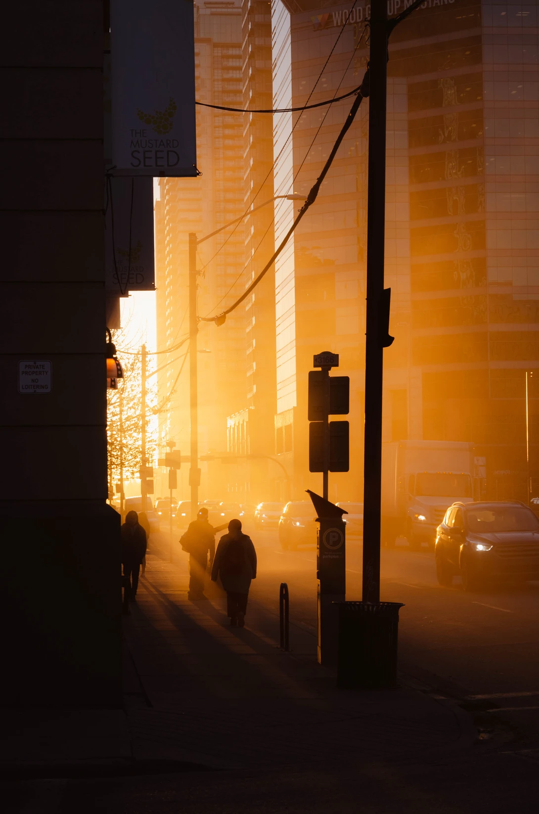 View Streets Rising by Cameron Hunter
