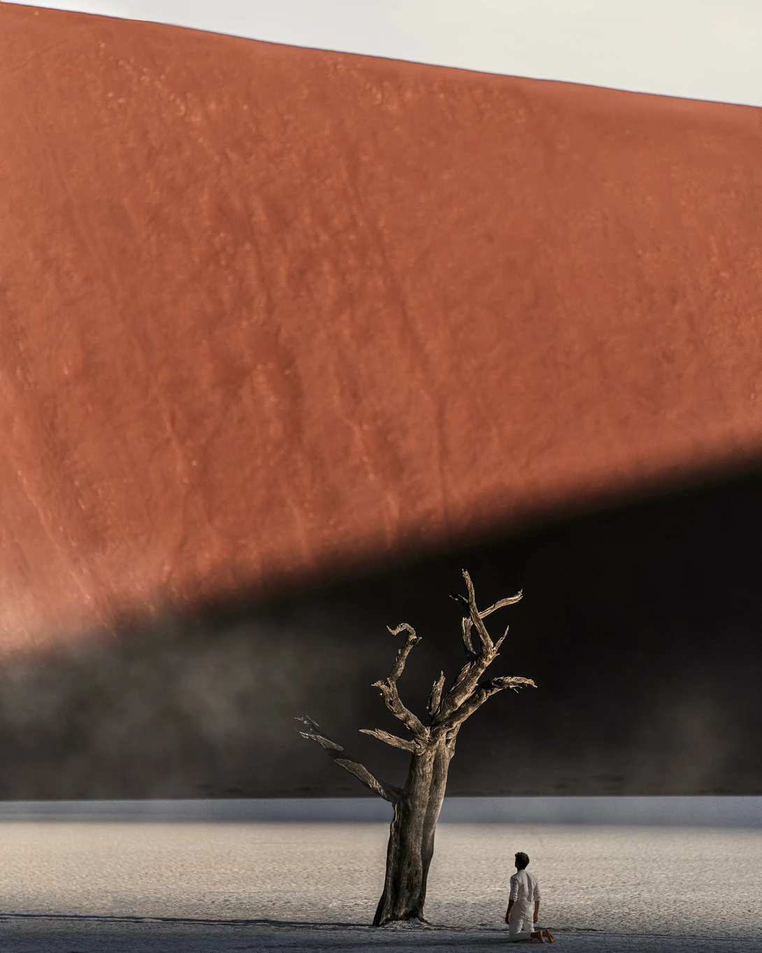 View Solitary Light by Ali Alsulaiman
