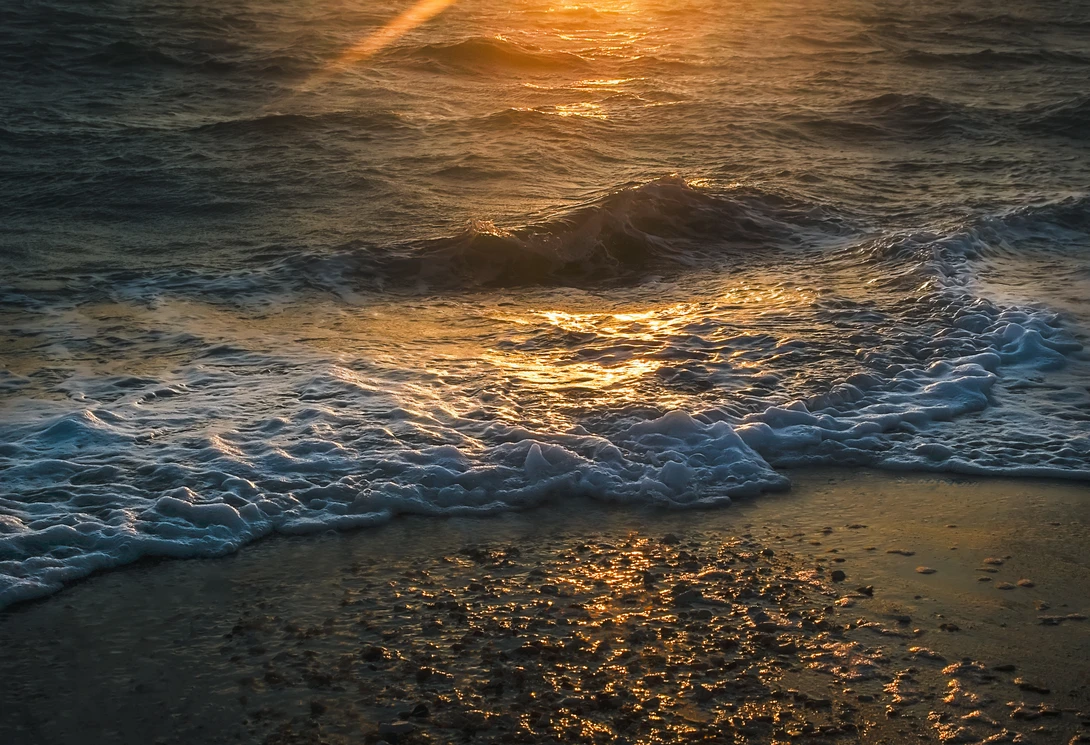 View Morning Delight by Yasmine Hassan