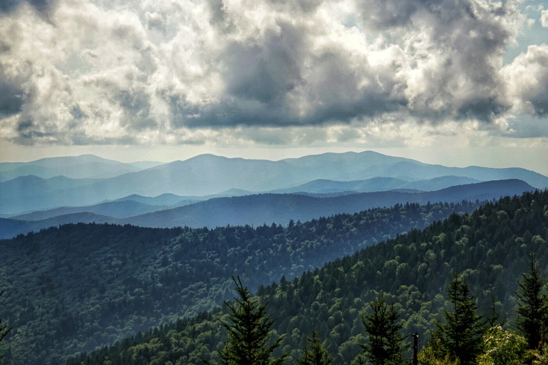 View Mountains by Diane Marie