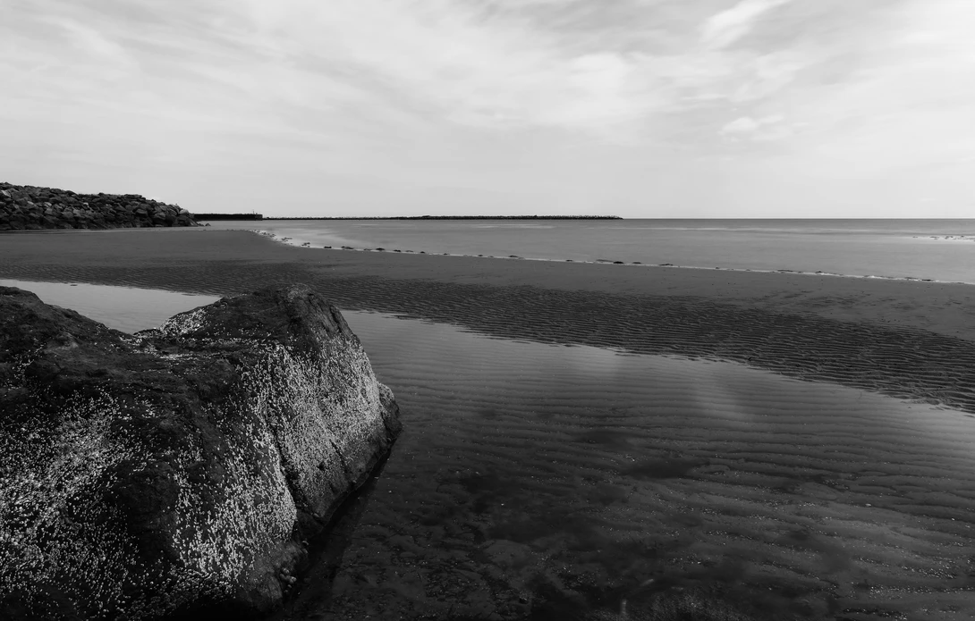 View Cape Tormentine by John Pettigrew