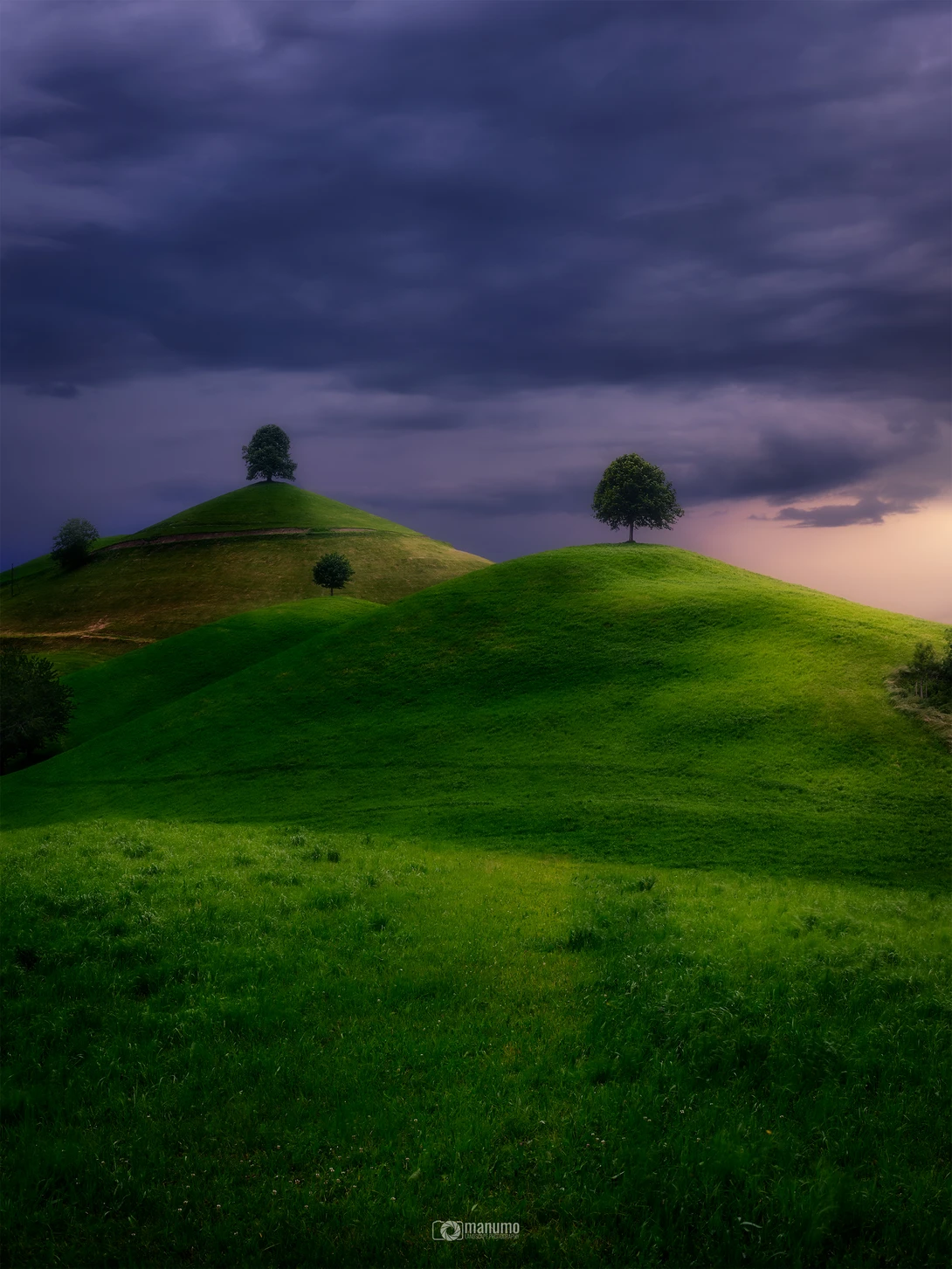 View The Hills by Manuel Mohorovic