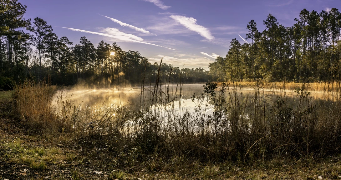 View Golden Glow Pond by Derek Bradley