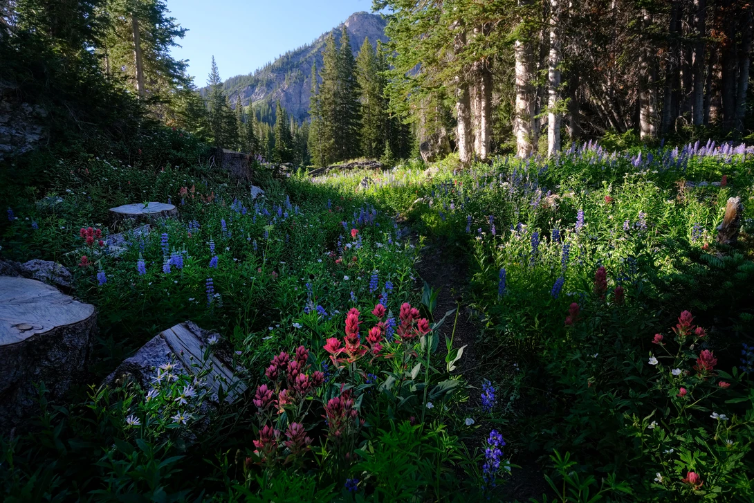 View What the mountains tell us by Mark Seawell