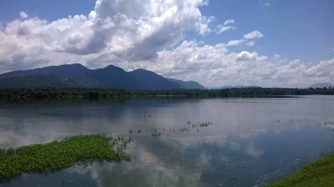 View 66ce67cc2bd9d6481c38dd85c92c5c09.jpg by Sachini Iddamalgoda