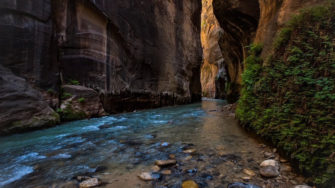 View a7be99fade99dd7f834aa78be71f83cb.jpg by Taylor Timothy