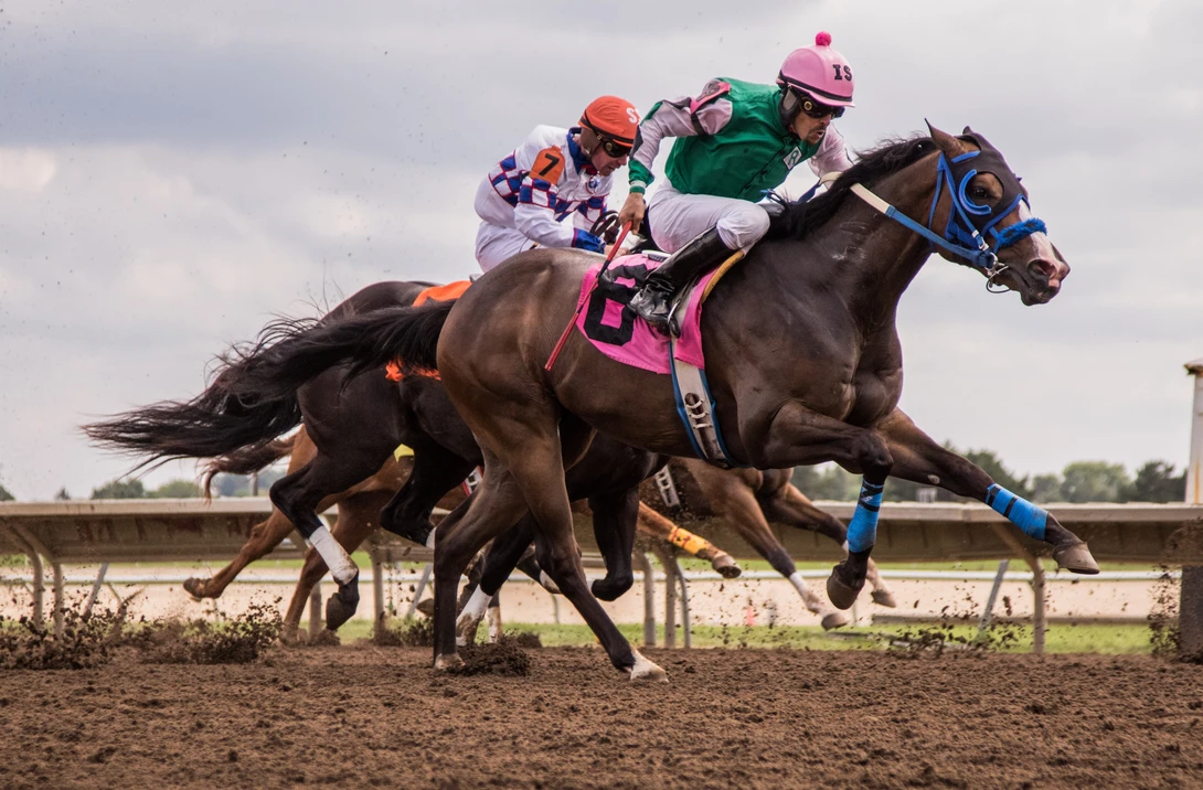 View d60ffd859c4afd65bcd1ee729f62edf4.jpg by Harrison Barden