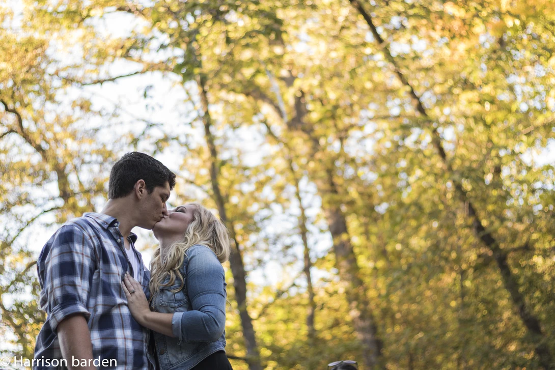 View 1b60b929647b34d2560394f656f12e37.jpg by Harrison Barden
