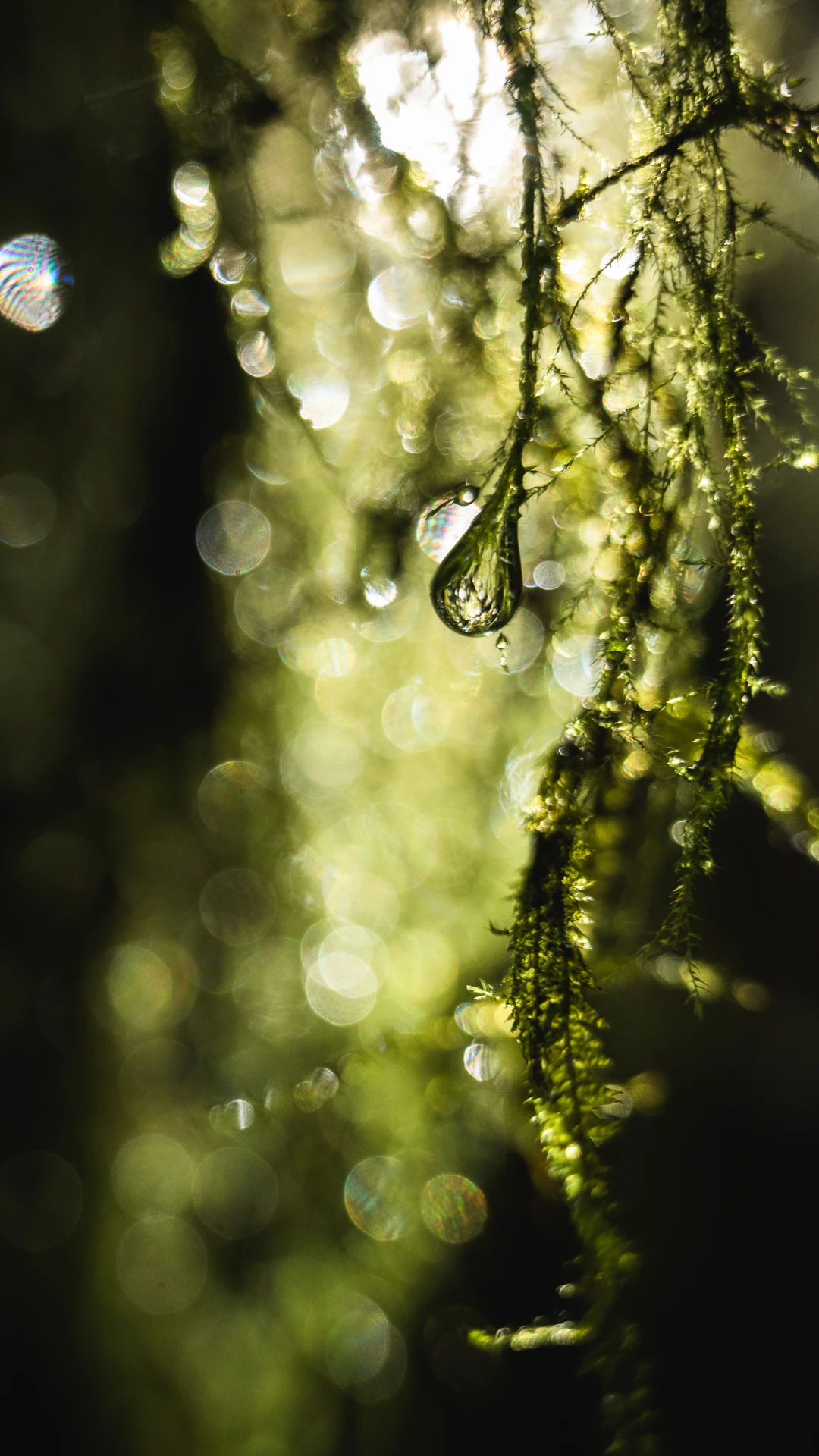 View a3e7bc22e57ba8beca2a38bf277692c0.jpg by chris pilling
