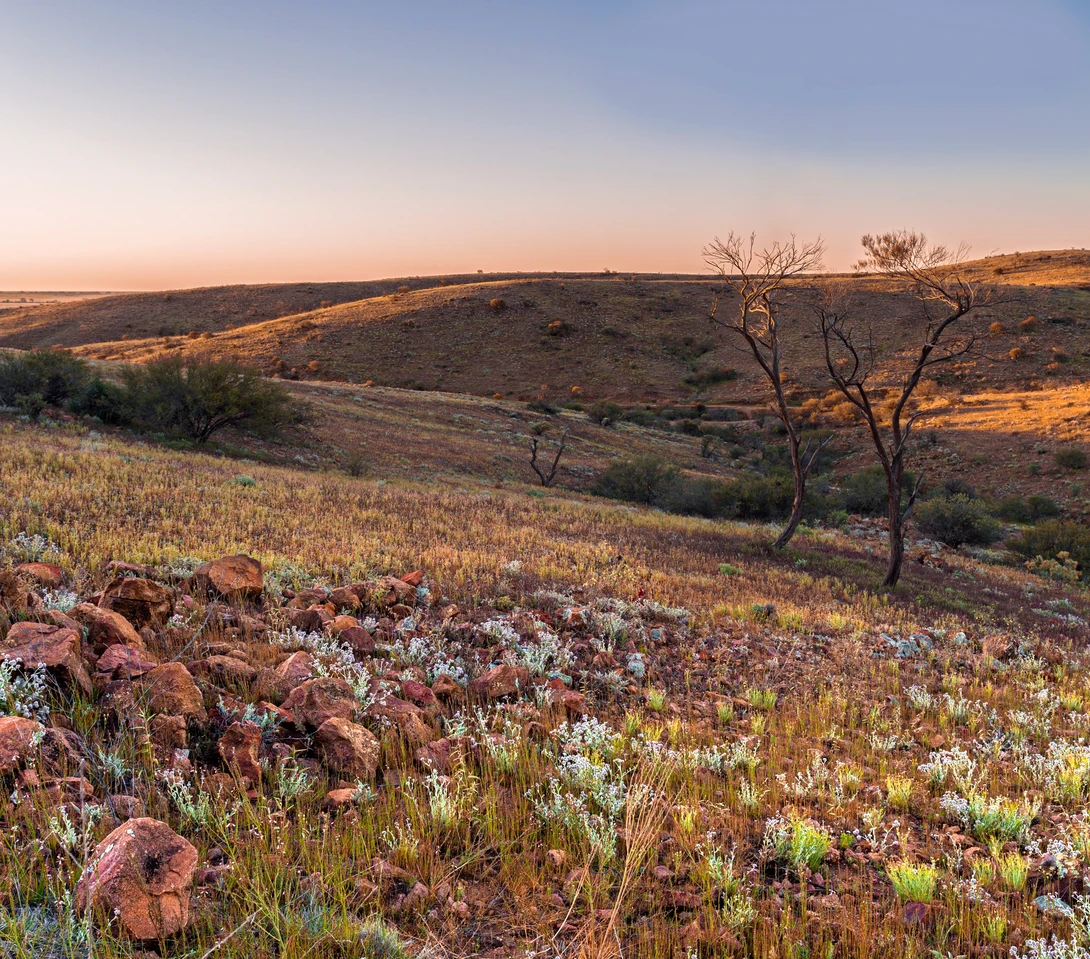 View a462753d3cd0cbab01fb7ac13b12651c.jpg by Floyd Mallon