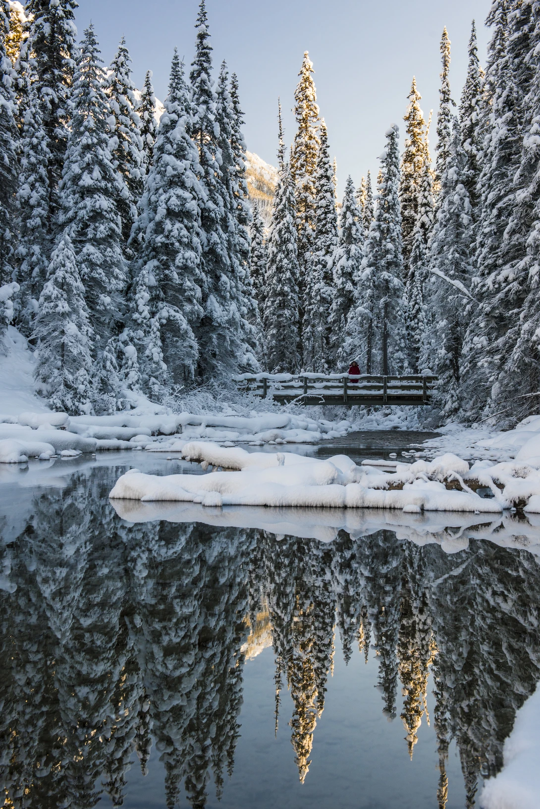 View bbc4456368bdc40342184c95f875e505.jpg by Erik McRitchie