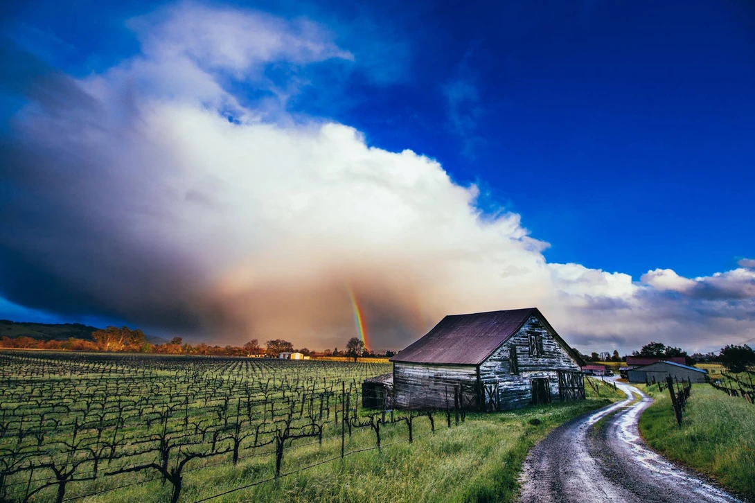 View 4a34e33da256bdaf47ec308290e3ead3.jpg by Daniel Vallelunga