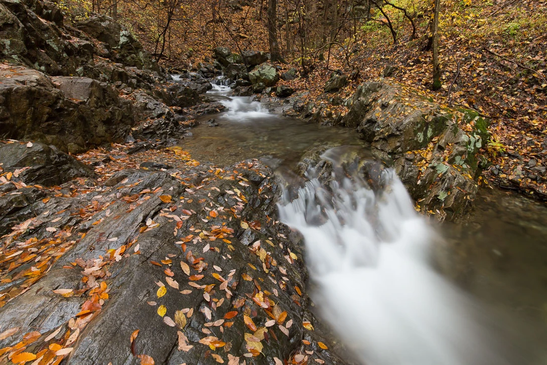 View 8d28c602351578ad58cb5064b1fb1145.jpg by David Rombough
