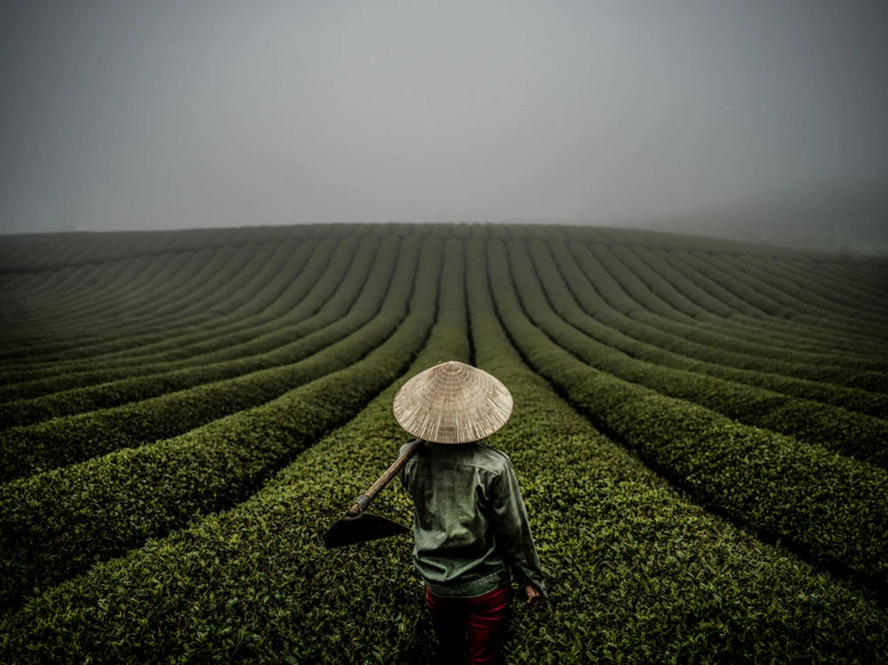 View 344ab8ca9af3f61fd3a1bce3f53d4fdb.jpg by Justin Mott
