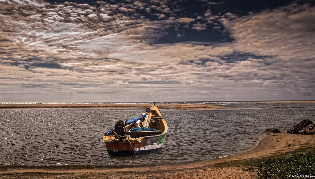 View Rest by Murali Narayanan