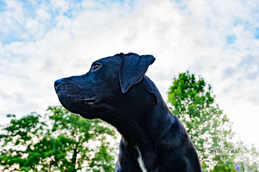 View 37eb386c1f917ac94a23c0ae9d2a3d42.jpg by Abi Fast