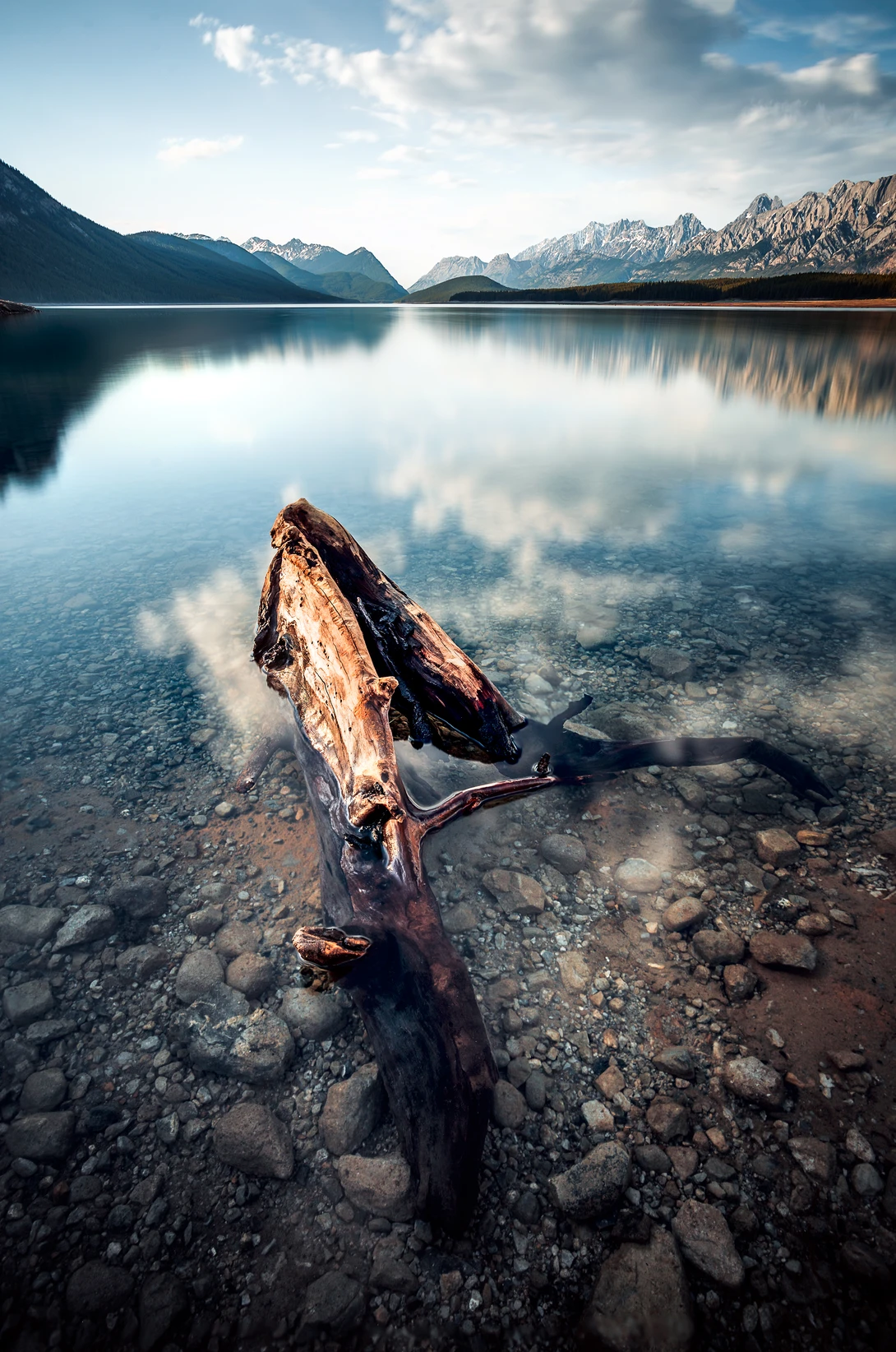 View e4c4af23f68421fb1baaf332b923c62d.jpg by Fernando Campos