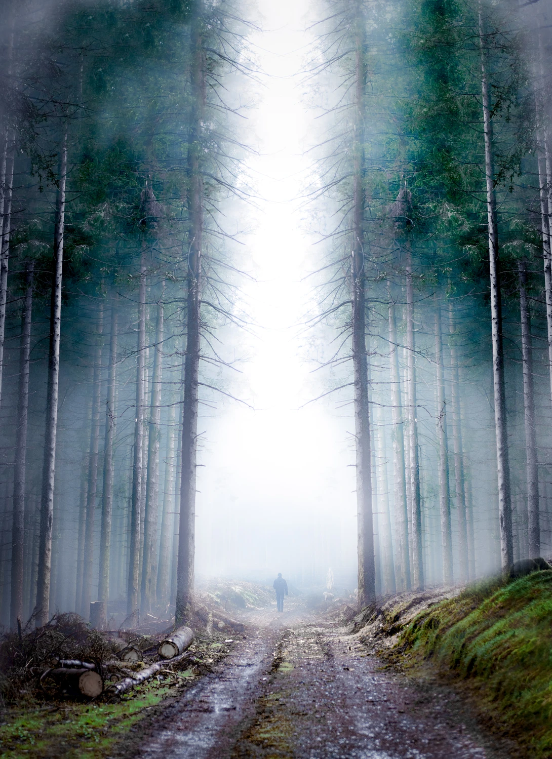 View 112030d113e0ce9ed7ad5ef7434ee691.jpg by Matthijs Bettman