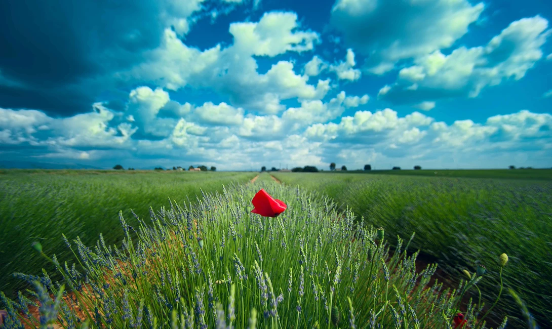 View 80a7b86b2646c2ae02ad0f9bdec2879e.jpg by Fred Terrien