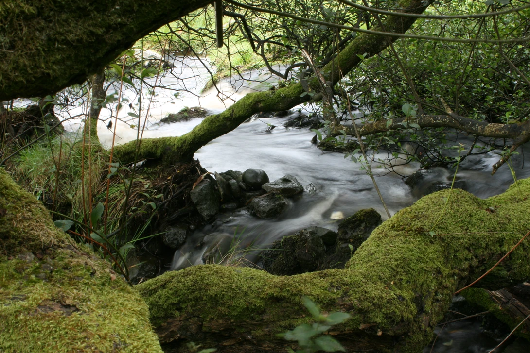 View 8539d9b1f43ec9012998299546e016aa.jpg by Allan Batcock