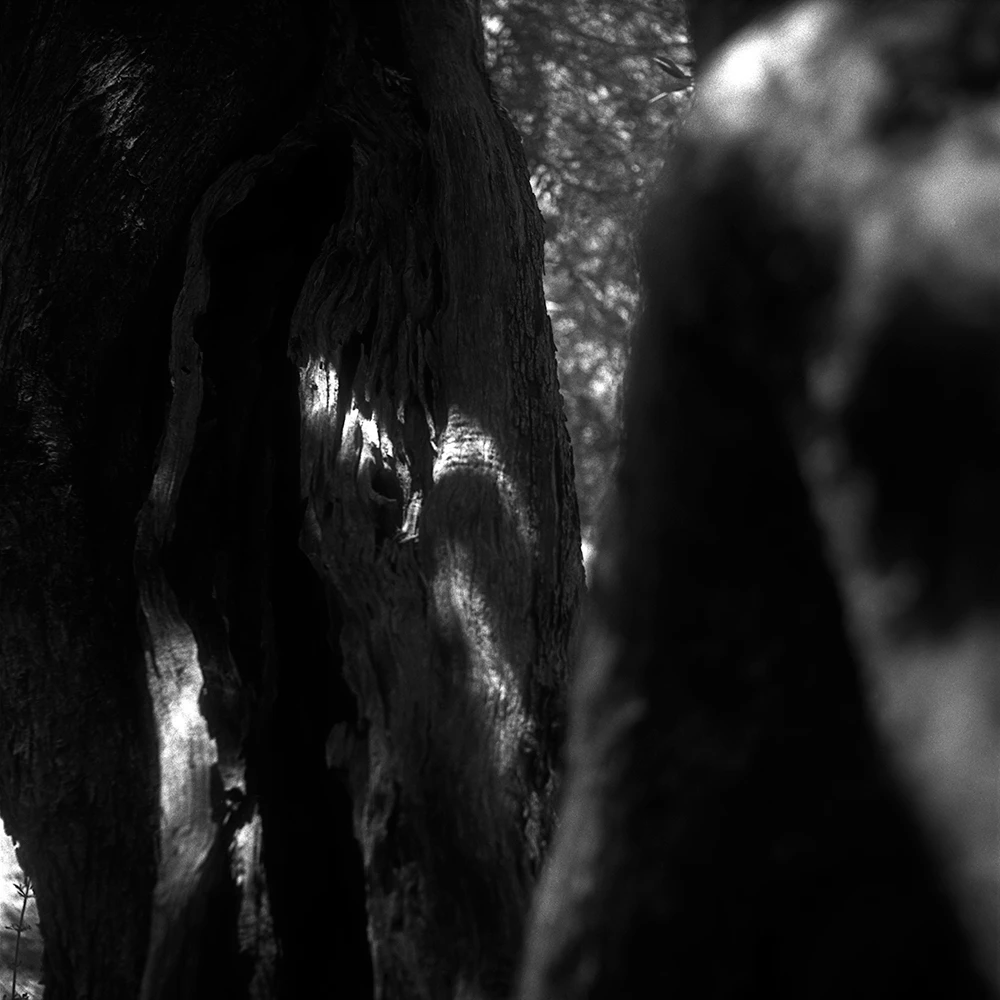 View aab5a4c128c3d19776ee26c3146bbbc7.jpg by Joakim Rostom