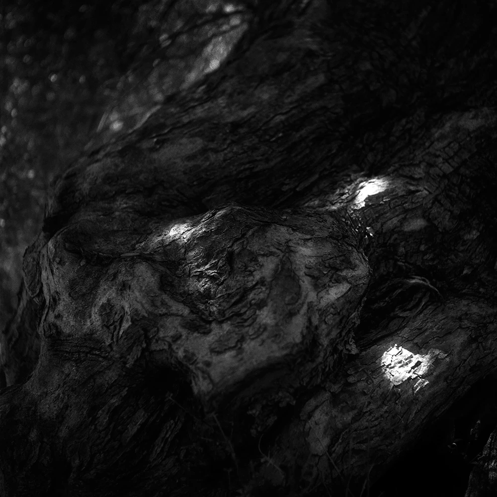 View c56c9b257dbd5b5a81c66f73ee7da1b7.jpg by Joakim Rostom