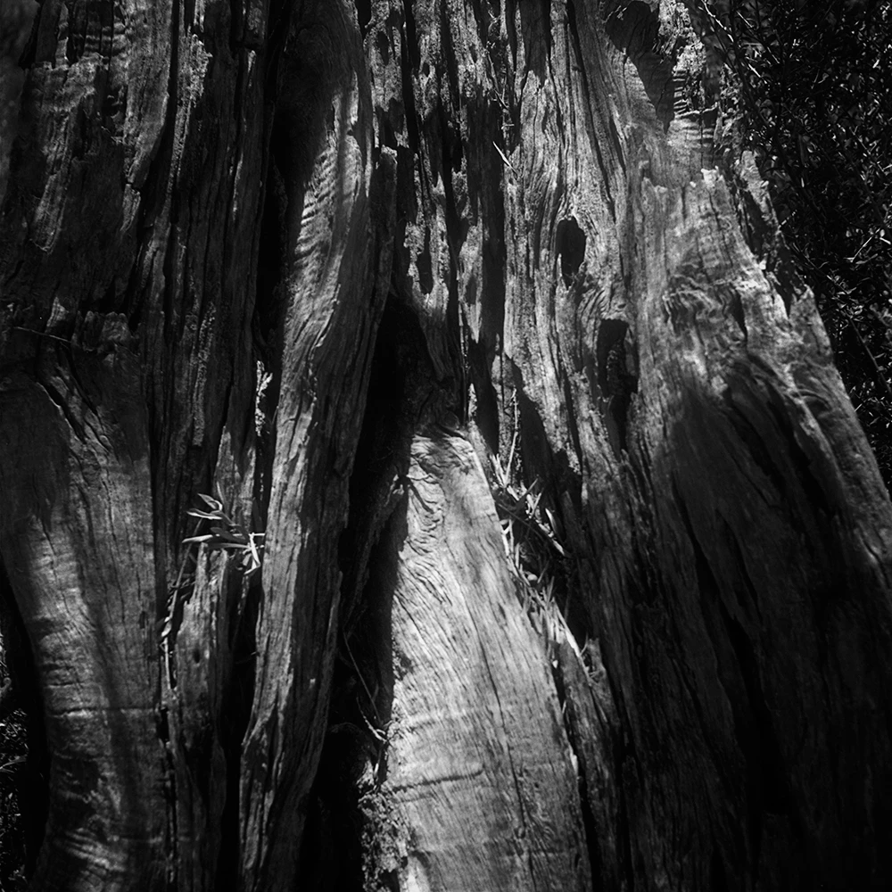View eb7a0b7a98e0459063174553ff84c702.jpg by Joakim Rostom