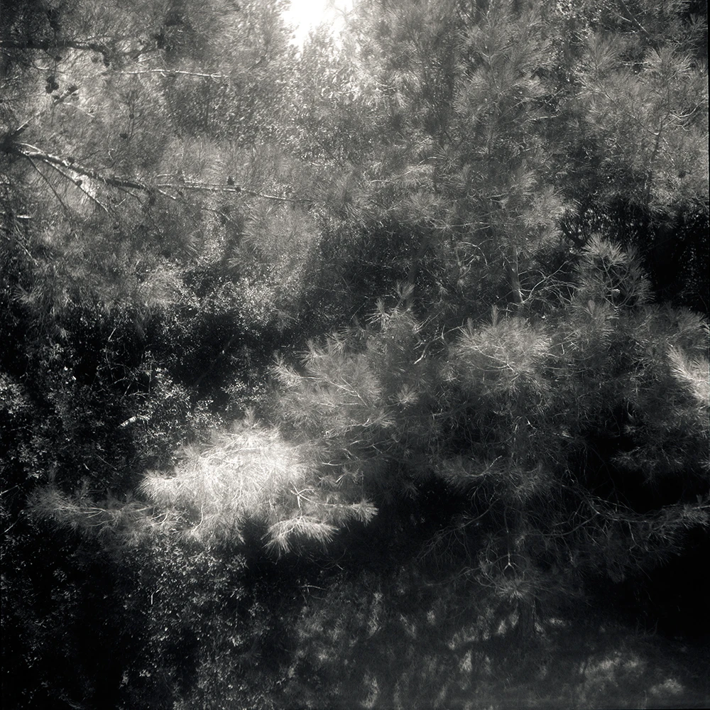 View f37d85b2c7c1f99990d3bf167e3e8209.jpg by Joakim Rostom