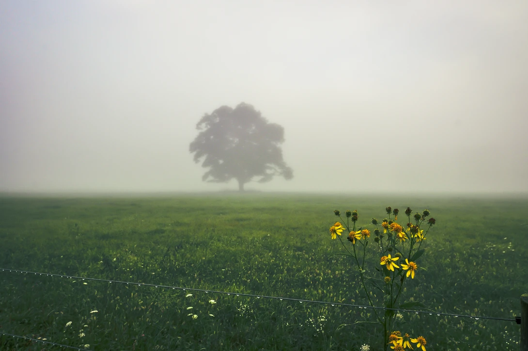 View 3c9d10e61c3b84d21e5d7ebf28cdd39d.jpg by John Crisp