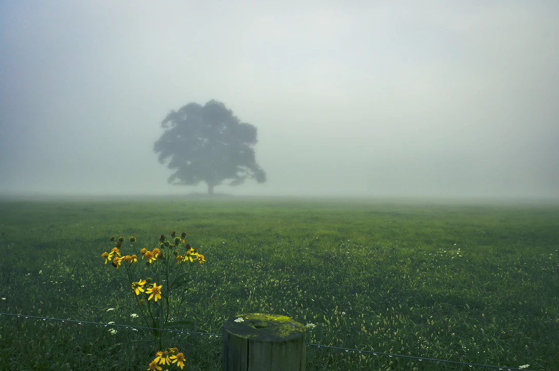 View fe6de19823955f7789905bfcbeb07cda.jpg by John Crisp