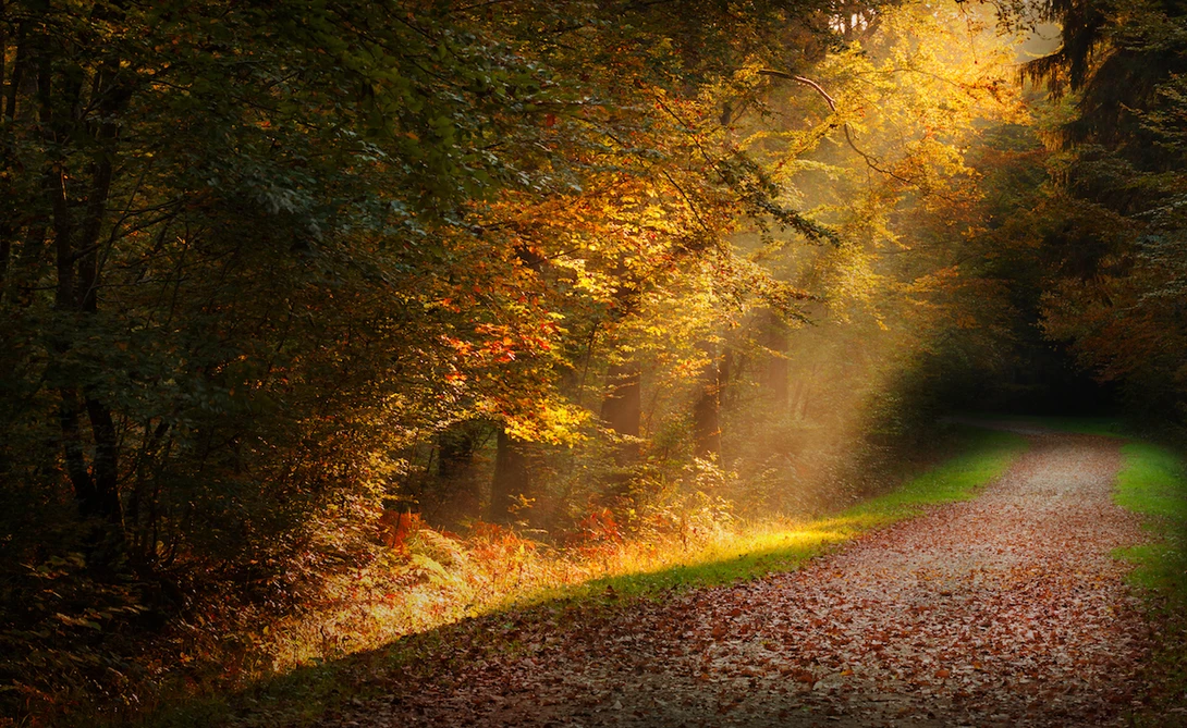 View a1a55fa484b19f2ebfd446f7f0cc610f.jpg by Romeas Thomas