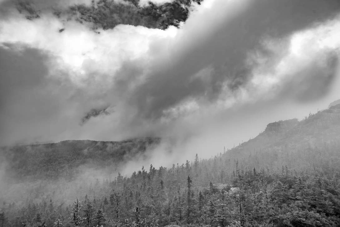 View eedec8d3c57196f300311a1f84896050.jpg by Timothy Daniel