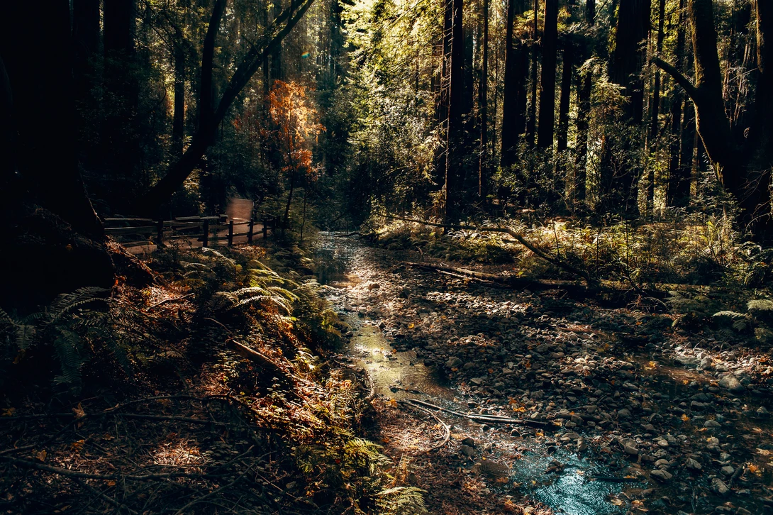 View f5d49c49b299c896b99d1b34aebc0d28.jpg by Adeel Jawed