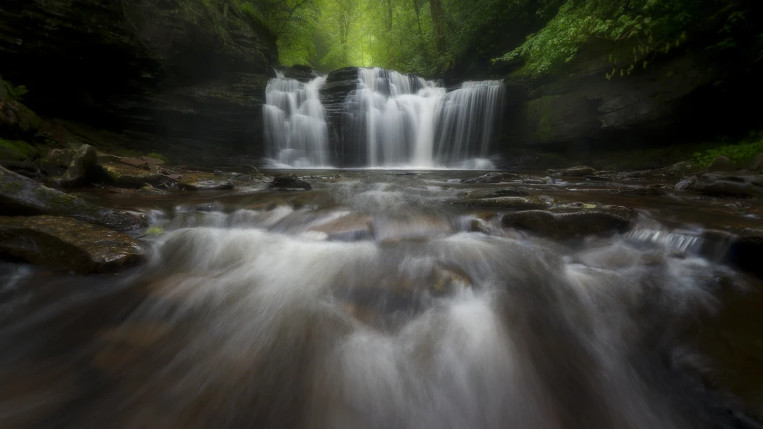 View 29ca98d38a39e6cdb4d9b210e2caf5aa.jpg by joseph cole