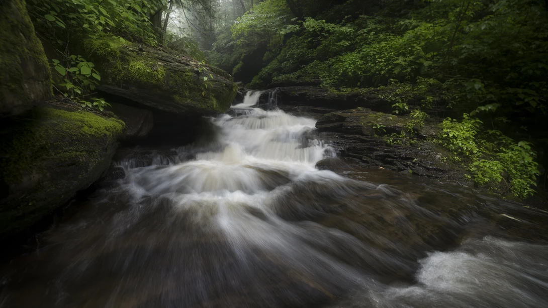 View f6200d4681b7d89dc0e83299c1adfb13.jpg by joseph cole