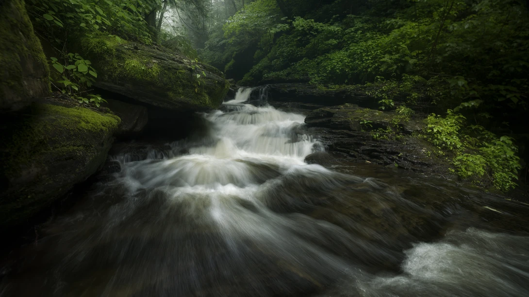 View 0bcd55294fc1dd008c2f9757d274b729.jpg by joseph cole
