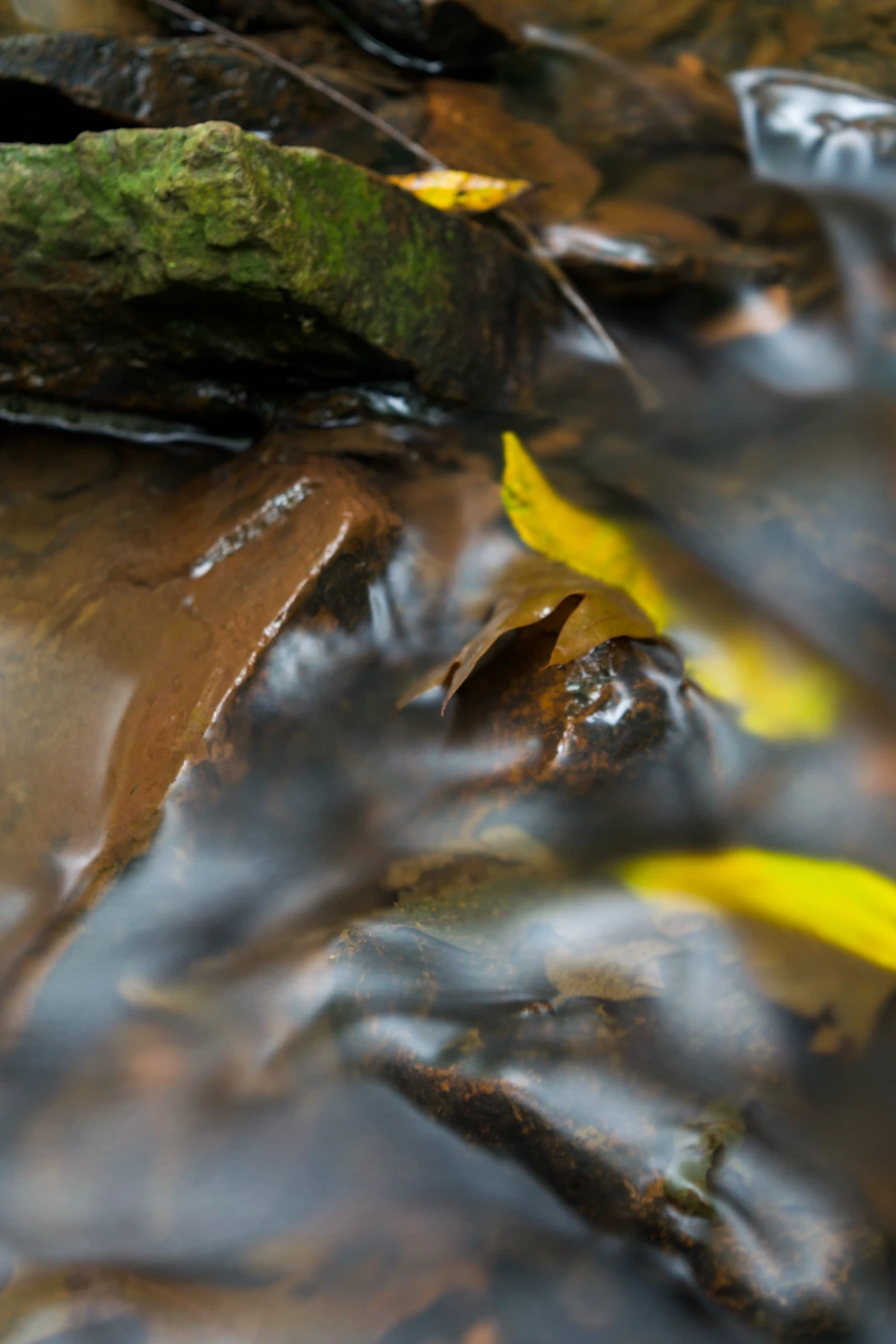 View 9d4928543c047b7488504ea5e385f33e.jpg by joseph cole