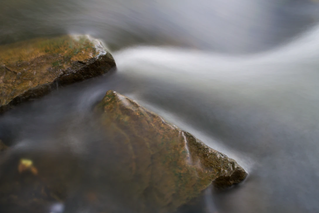 View d4e08b408cb0378a9f5ff5b5ae848a58.jpg by joseph cole