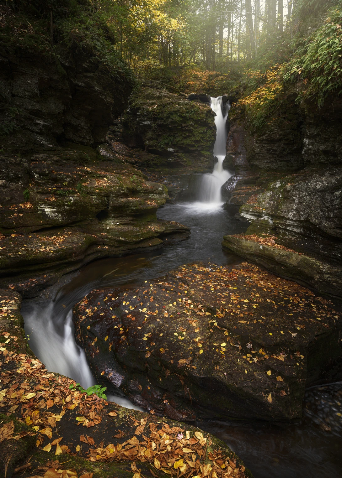 View Adam's Falls by joseph cole