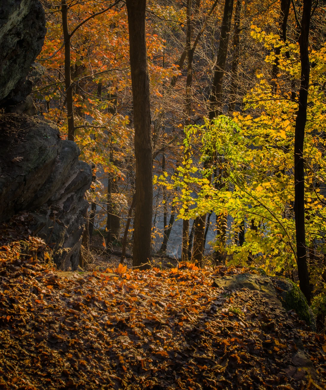 View 18dfbed5dc04660cc2800615e3f841e6.jpg by joseph cole